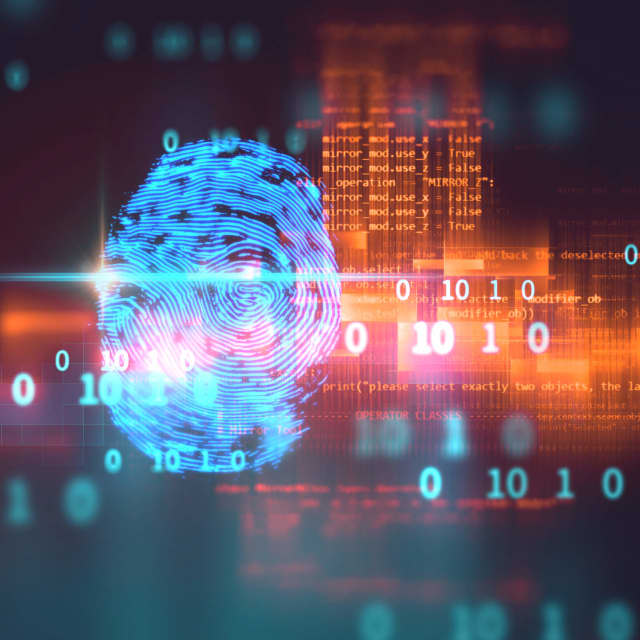 fingerprint, digital, identity